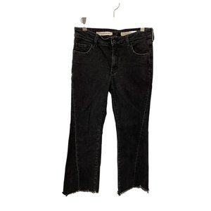 Pilcro and the Letterpress Women's Jeans Size 27 (Anthropologie)